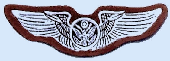 Wing ID patch (13).jpg