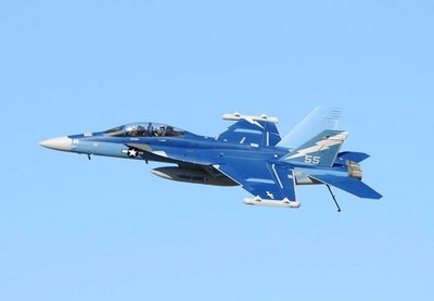 Hornet2.JPG