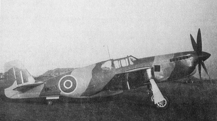 47691FEE-D3DC-48E8-A549-B281F01EAFD3.jpeg
