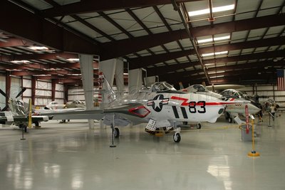 IMG_9537.jpg