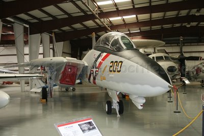 IMG_9557.jpg