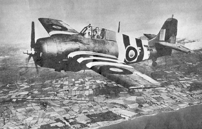 grumman_wildcat_invasion_stripes.jpg