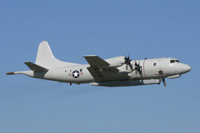 IMG_9888P-3DAL.jpg
