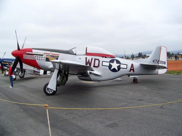 3577558514_beca389469_b.jpg
