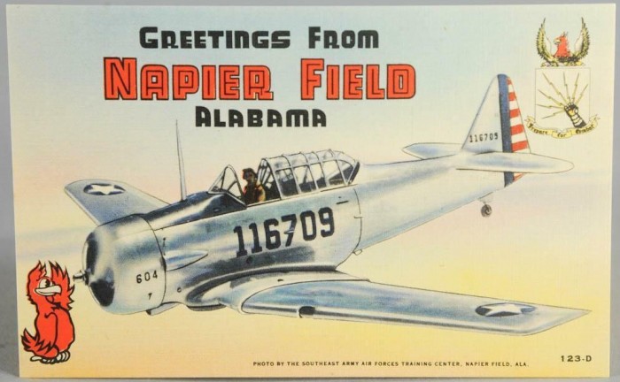napier 41-16709.jpg