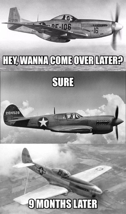 P40Qbirth.jpg
