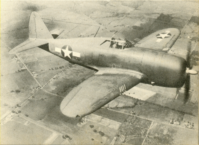 P-47 Wing Markings (Reduced).png