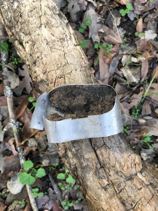 Wreck vent 1.jpg