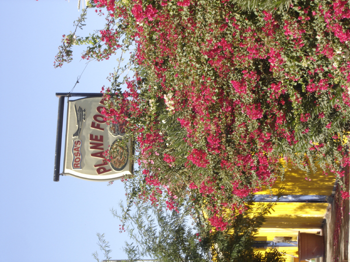DSC00820.jpg