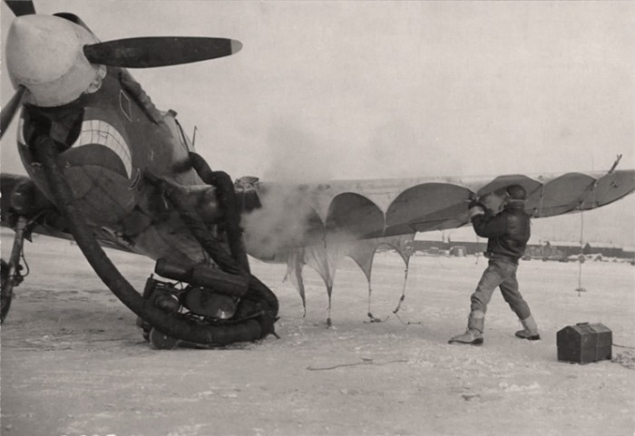 CHICKENHAWK.jpg (75.96 KiB) Viewed 2177 times CHICKENHAWK.jpg