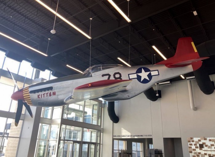 CAF P51D Replica.jpg