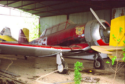 Bulverde-032901-T-6-08001.jpg