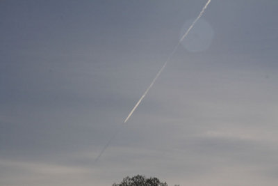 _MG_7567.jpg (28.38 KiB) Viewed 2193 times _MG_7567.jpg