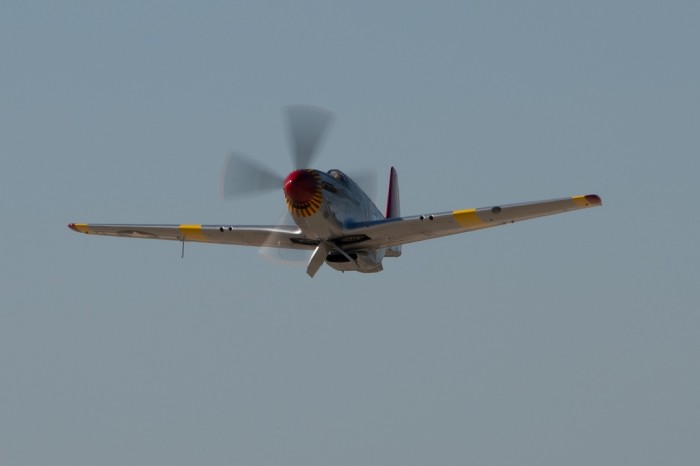 RED_6459.jpg