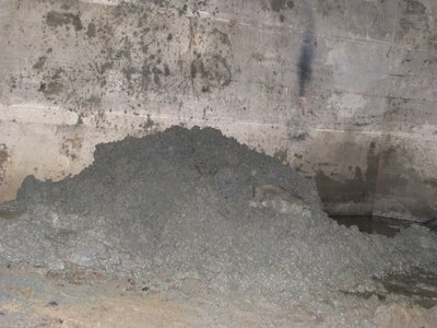 mud2.jpg