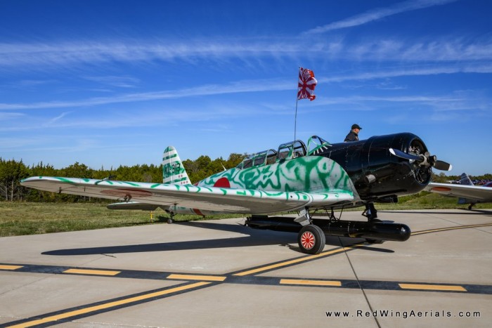 DSC_7572.jpg