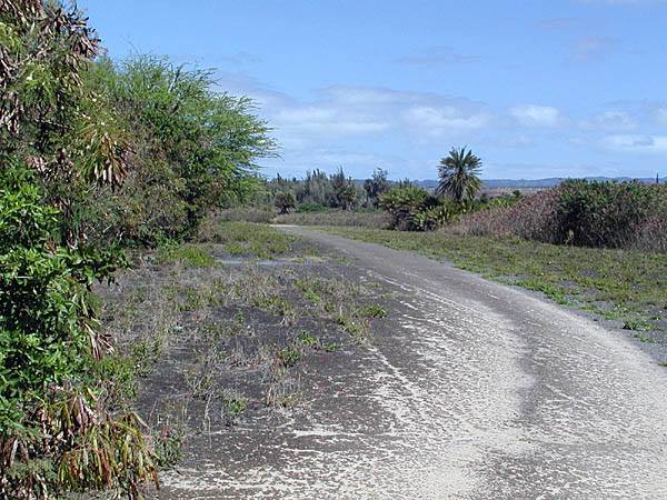 Taxi-way ex-Haleiwa Field Bennett.jpg