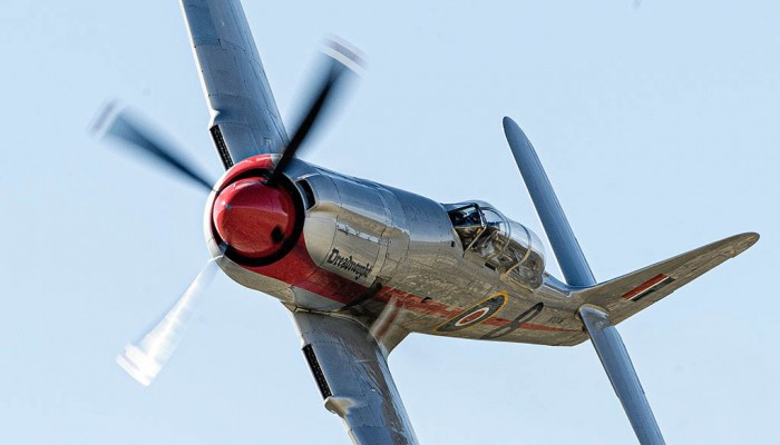 _DSC9895 Dread copy.jpg (85.59 KiB) Viewed 4111 times _DSC9895 Dread copy.jpg