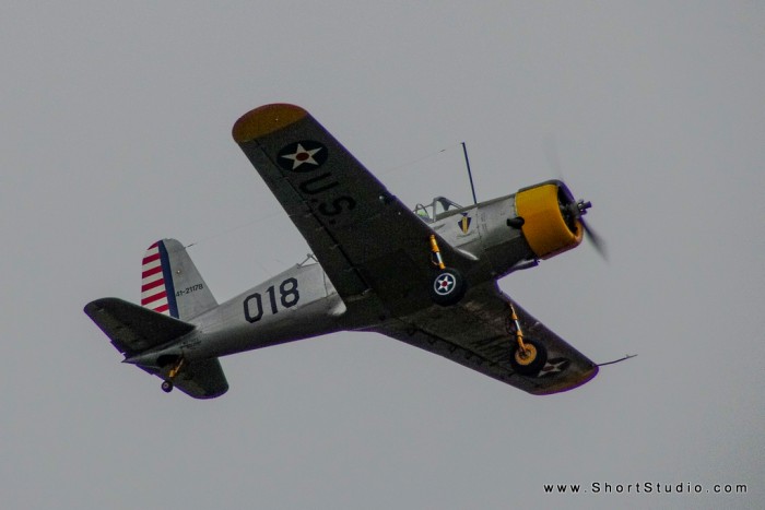 DSC01234-1.jpg