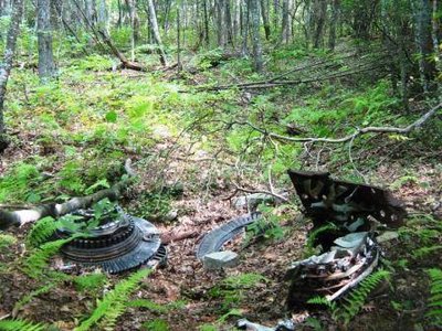 RF-4CHolston Mountain, TN wreckage 1.jpg