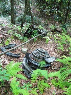 RF-4CHolston Mountain, TN wreckage 2.jpg
