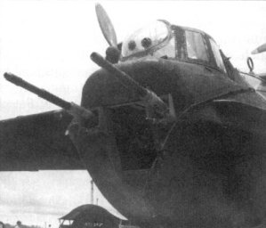 dual_20mm_nose-cannon.jpg