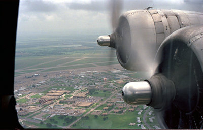 295245.jpg